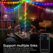 Smart IC LED String Light WS2812 Bluetooth Fairy Light Addressable USB 5V 20m 10m 5m Dreamcolor Music Sync Party Garland Decor