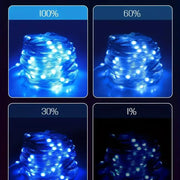 Smart IC LED String Light WS2812 Bluetooth Fairy Light Addressable USB 5V 20m 10m 5m Dreamcolor Music Sync Party Garland Decor