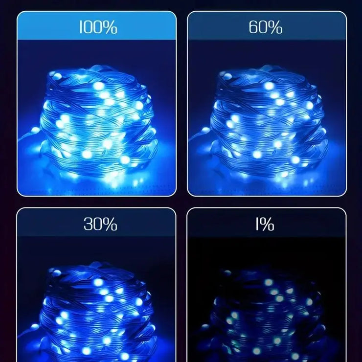 Smart IC LED String Light WS2812 Bluetooth Fairy Light Addressable USB 5V 20m 10m 5m Dreamcolor Music Sync Party Garland Decor