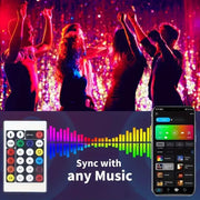 Smart IC LED String Light WS2812 Bluetooth Fairy Light Addressable USB 5V 20m 10m 5m Dreamcolor Music Sync Party Garland Decor