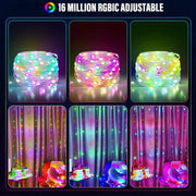 Smart IC LED String Light WS2812 Bluetooth Fairy Light Addressable USB 5V 20m 10m 5m Dreamcolor Music Sync Party Garland Decor