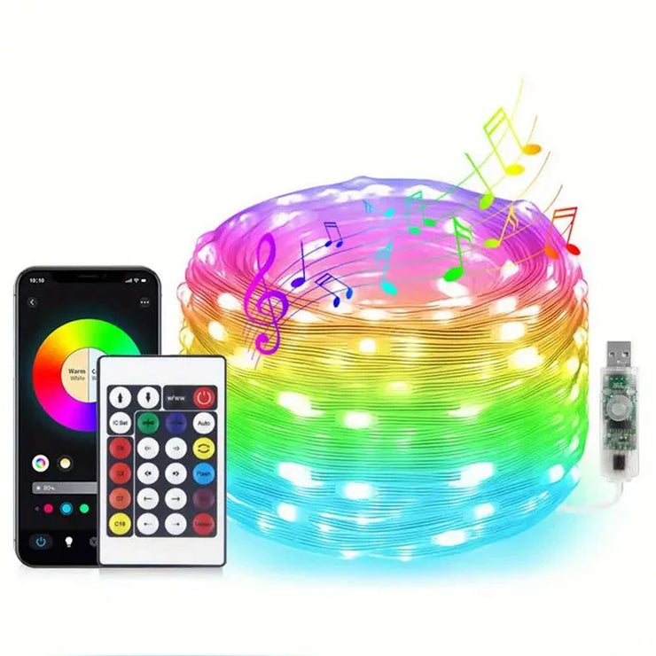 Smart IC LED String Light WS2812 Bluetooth Fairy Light Addressable USB 5V 20m 10m 5m Dreamcolor Music Sync Party Garland Decor